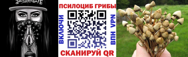 ОМГ ОМГ ССЫЛКА  Лермонтов  Галлюциногенные грибы прущие грибы 